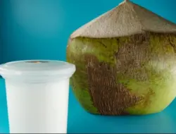 Manfaat Minum Air Kelapa untuk Kesehatan dan Kecantikan, Cegah Sembelit dan Turunkan Berat Badan