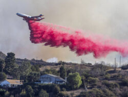 Cairan Pink, Cara untuk Padamkan Kebakaran Dahsyat Los Angeles