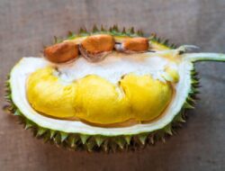 Apa yang Terkandung dalam Durian? Ini Daftarnya…