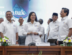 Sri Mulyani Bentuk Direktorat Baru di Kemenkeu, Awasi Akuntan hingga Konsultan Pajak