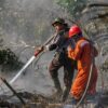 Luas Lahan yang Terbakar di Riau Mencapai 95,08 Hektare Sejak Awal Tahun