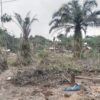 Warga Pekanbaru Terancam oleh Limbah FABA PLTU yang Menyebabkan Tanaman Mati dan Usaha Terhenti