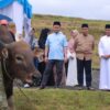 ASN Pemko Pekanbaru Berkurban, 19 Ekor Hewan Disembelih