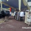 Sapi Simmental Berat 1 Ton Dari Presiden RI Prabowo Disembelih di Kantor DPD Gerindra Riau