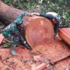 Pandangan Ketua Komisi III DPRD Riau tentang Petani di Kawasan TNTN