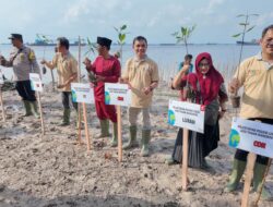 Capella Honda Menanam 1500 Batang Mangrove di Pelabuhan Dumai untuk Sinergi Negeri
