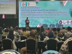 Rehabilitasi Mangrove di Inhil Sukses, Program M4CR di Riau Akan Diperluas ke Lima Kabupaten