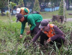 Pemko Pekanbaru Mempercantik Kota dengan Penanaman Pohon di Median Jalan