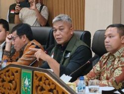 Investor Luar Riau Kuasai Ladang Sawit di Taman Nasional Tesso Nilo, Mengakibatkan Erosi