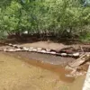 Kilang Pertamina Sungai Pakning Mengklarifikasi Tumpahan Minyak di Laut Bukan Bersumber dari Fasilitas Perusahaan