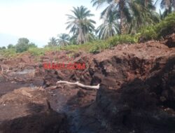 Ancaman Abrasi di Pulau Bengkalis, Dua Desa Berisiko Menyusut Tanpa Penanganan yang Cepat