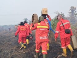 Pemerintah Provinsi Riau Akan Segera Menetapkan Status Darurat Karhutla