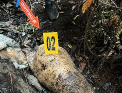 Kasus Gajah Ditembak dan Dipenggal di Pelalawan: 40 Saksi Diperiksa, Penyelidikan Mulai Mendekati Penyelesaian