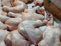 Bupati Inhil Diharapkan Mengambil Tindakan Nyata untuk Mengatasi Kenaikan Harga Ayam Potong di Daerah Inhil