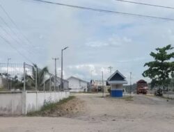 Aktivis Lingkungan Menggugat PKS PT Permata Hijau Indonesia