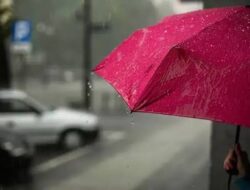 Peringatan BMKG: Riau Berpotensi Diguyur Hujan Lebat dan Angin Kencang Hari Ini