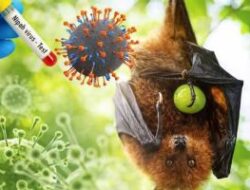 Riau Meningkatkan Pengawasan Lalu Lintas Ternak untuk Mencegah Penyebaran Virus Nipah