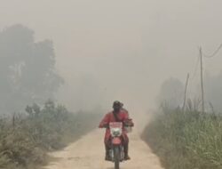 Asap Kebakaran Lahan Mengancam Permukiman di Dumai