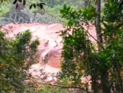 Penambang Emas Ilegal Berani Beroperasi di Dekat Gedung DPRD Kuansing, Polisi Berjanji Bertindak Tegas