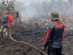 Tim Gabungan Masih Berusaha Memadamkan Lima Titik Karhutla di Riau