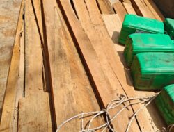 Polres Bengkalis Mengungkap Kasus Illegal Logging, Satu Truk Kayu Ilegal Disita di Siak Kecil