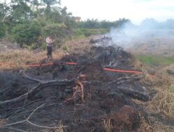 Pria di Rokan Hilir Ditangkap Polisi Saat Bakar Lahan