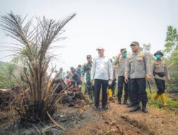 Wali Kota Dumai dan Kapolda Riau Memantau Upaya Pemadaman Karhutla di Tanjung Palas
