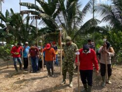 Pemdes Limau Manis Berkolaborasi dengan Bumdes untuk Mendorong Program Ketahanan Pangan dengan Menanam Jagung