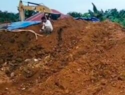 Pasca Lebaran, Aktivitas Penambang Tanpa Izin di Kuansing Meningkat, 4 Alat Berat Beroperasi di Kari