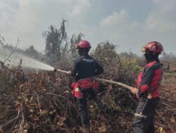 PT Arara Abadi sends Helicopter and 100 Personnel to Help Extinguish Forest Fires Outside Concession Area.