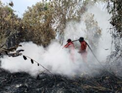 Tim Manggala Agni berhasil memadamkan kebakaran hutan di Rohil, api terbuka berhasil dikendalikan