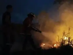 Kebakaran Lahan dan Gudang Puskesmas di Natuna Berhasil Diamankan setelah Menyala selama 4 Hektare