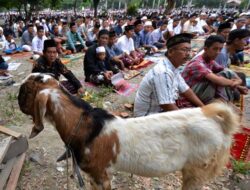 Kementerian Agama Menyangkal Adanya Larangan Penyembelihan Hewan Kurban Secara Mandiri
