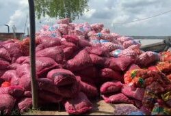 TNI Menggagalkan Penyelundupan Puluhan Ton Bawang dan Cabai Ilegal di Inhil