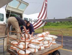 BNPB Memperkuat Operasi Pemadam Kebakaran di Daerah Rawan Riau untuk Mencegah Karhutla