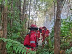 Keempat Regu Manggala Agni Dikerahkan untuk Menangani Karhutla di Bengkalis