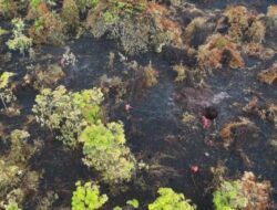 Polisi Berhasil Menangkap Pria yang Membakar Semak dan Menyebabkan Karhutla di Bengkalis seluas 35 Hektare