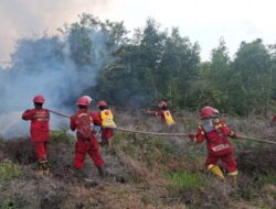 Angin Kencang Membuat Sulit Pemadaman Kebakaran Lahan di Rupat Utara