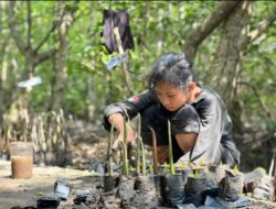 Pembibitan Mangrove MSB untuk Meningkatkan Ekosistem Pesisir Siak dengan Cinta Lingkungan Sejak Dini