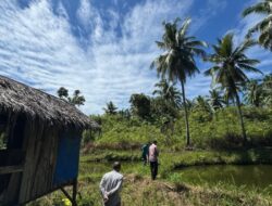PLN UIP3B Sumatera Mengalirkan Listrik untuk Pertanian, Harapan Baru bagi Petani Ikan di Padang Pariaman