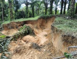 Penambang Emas Ilegal Merusak Lingkungan di Merauke, Sungai Ulo Terancam Pencemaran Berat