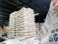 Bulog Natuna Menyediakan 77 Lokasi Penyaluran Bantuan Pangan