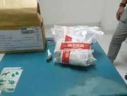 Petugas Bandara Tanjungpinang Menggagalkan Pengiriman Paket Sabu yang Hendak Dikirim ke Jakarta