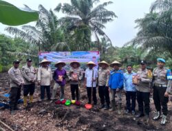 Polsek Kuala Cenaku Membantu Program Ketahanan Pangan dengan Menanam Jagung Pipil di Desa Sukajadi