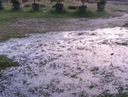 EMP Energi Riau Menanggulangi Dampak Kebocoran Pipa di Kerumutan yang Menyebabkan Rembesan Sisa Minyak