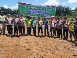 Polsek Rambah Menanam Jagung di Pasir Intan dengan Luas 1,5 Hektare untuk Mendukung Swasembada Pangan Tahun 2026
