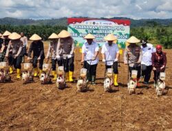 Wakapolda Riau Memimpin Penanaman Jagung di Rokan Hulu dan Menegaskan Strategi Polri dalam Menghadapi Tantangan Era Digital