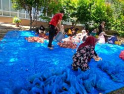 Disdik Pekanbaru Melibatkan Seluruh Pegawai dalam Proses Pemotongan 7 Ekor Sapi Kurban demi Semangat Gotong Royong