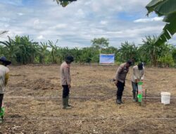 Polsek Kateman Memulai Penanaman Jagung Kembali di Lahan Air Tawar Untuk Meningkatkan Ketahanan Pangan setelah Gagal Panen Sebelumnya.