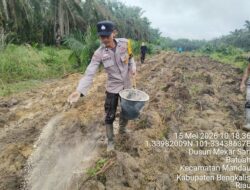 Polsek Mandau Meningkatkan Pengelolaan Lahan Jagung untuk Mendukung Program Ketahanan Pangan Nasional